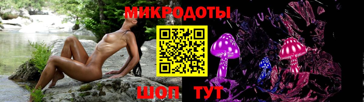 Галлюциногенные грибы Psilocybe  Вход с VPN  Норильск  цена   Псилоцибиновые грибы GOLDEN TEACHER 